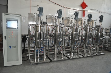 50L five conjoined fermenters|bioreactors