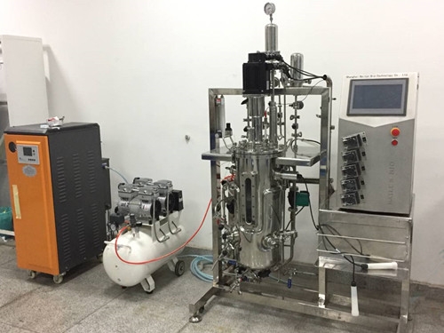 30L  fermenter|bioreactor