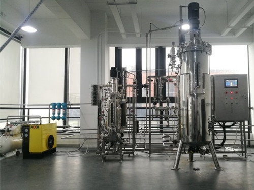 50L500L two stage  bioreactor|fermenyer