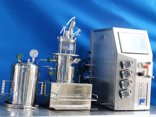 Glass fermenters (Desktop sterilized in situ magnetic stirring)