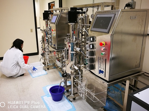 20L bioreactor| fermenter